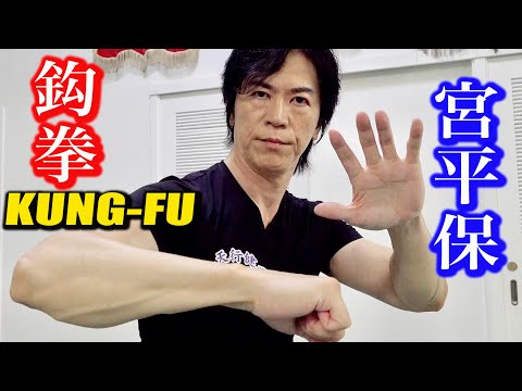 Видео: 【КУНГ ФУ】Таранная атака кулаком и локтем! (Мияхира Тамоцу)