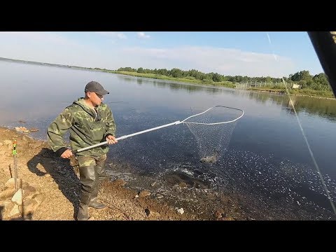 Видео: РЫБАЛКА в городе Удомля.