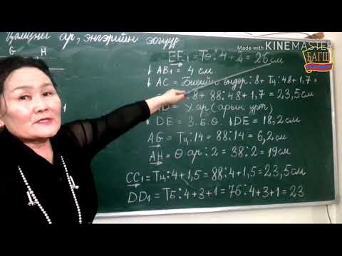 Видео: Хичээл 2. Цамцны арын эсгүүр |Tsamtsni ariin esgvvr|