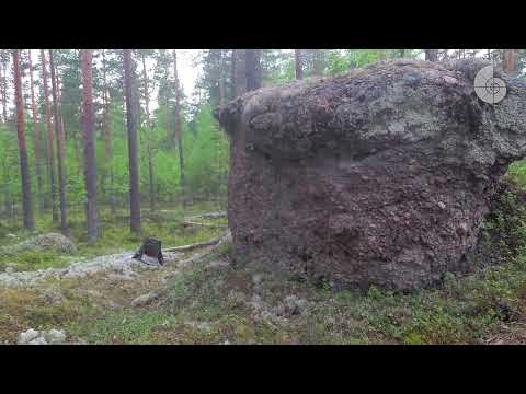 Видео: Природа Карельского перешейка. Окрестности Вещево, ч. 1.