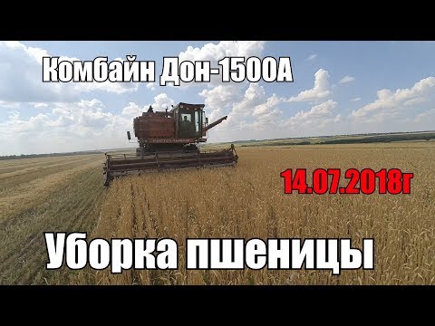 Видео: Уборка пшеницы 2018. Вторая часть.