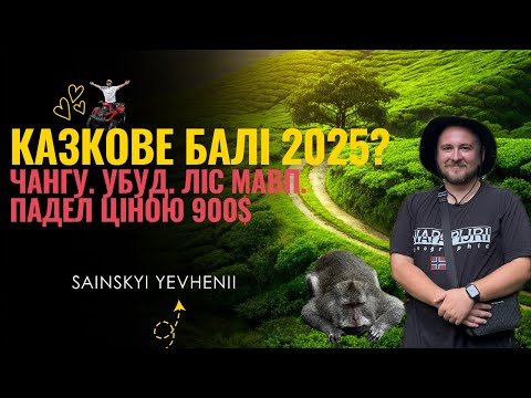 Видео: КАЗКОВЕ БАЛІ? Чангу, Убуд, Ліс мавп. Фейл з рейсом за $900