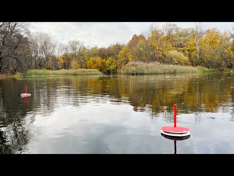 Видео: ЗАБРАЛСЯ В РЕАЛЬНУЮ ГЛУШЬ! Рыбалка на кружки и спиннинг на сказочно красивой реке.