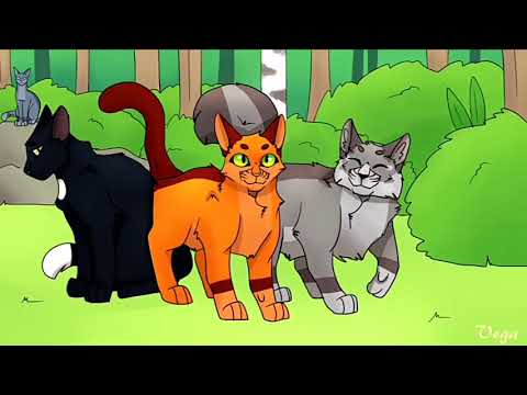 Видео: Полная история Огнезвёзда|Коты Воители|Full story of Firestar|Cats Warriors