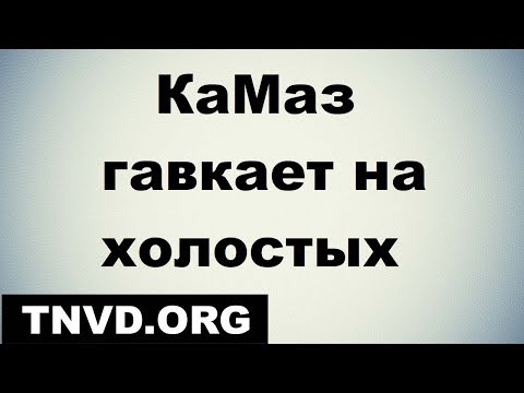 Видео: ТНВД КаМаз гавкает на холостых