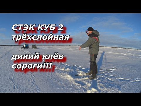 Видео: ПАЛАТКА СТЭК КУБ 2 Трёхслойная  дикий клёв сороги