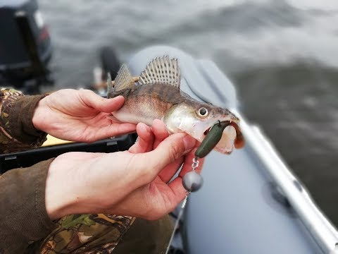Видео: Открытие рыболовного сезона 2018. Можайское водохранилище.