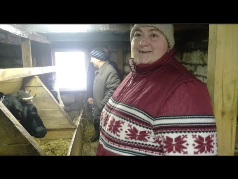 Видео: Встретили гостей и подготовились к Новому году.