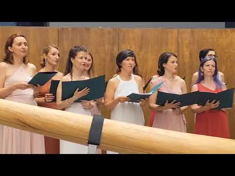 Видео: Дилмано Дилберо - Етно хор „Зефира“