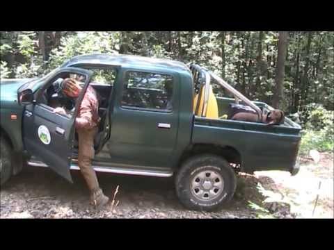 Видео: Лов чрез издебване на дива свиня в ЛС Правец