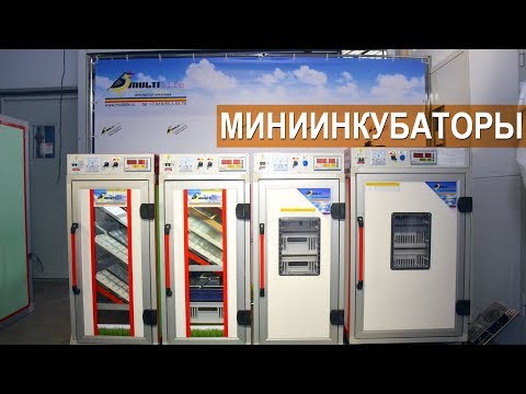 Видео: Мини инкубаторы MultiLife  Бориса Кравчик