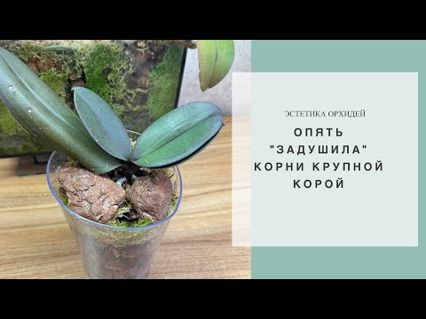 Видео: По следам забавных комментариев и пересадка😀🙌🏻
