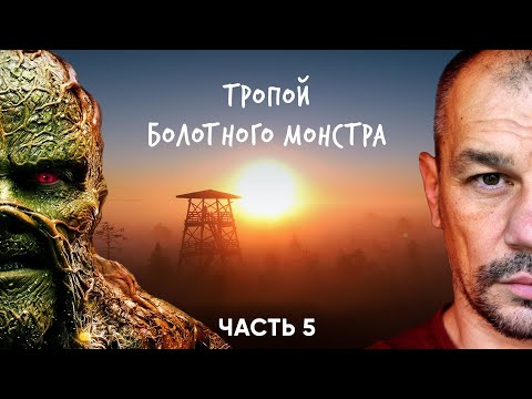 Видео: Сквозь эстонскую тайгу на велосипеде. Эстония.