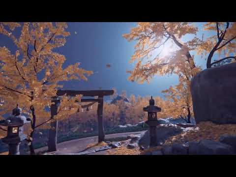 Видео: ЛИСТОПАД