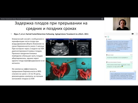 Видео: «Ализин. Безопасная помощь после внеплановой вязки.» Сапицкая Л.Д. вебинар за 09.06.20