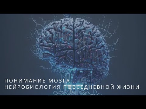 Видео: Понимание мозга .. Нейробиология повседневной жизни.