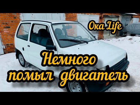 Видео: Мойка двигателя ока