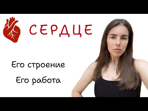 Видео: СЕРДЕЧНО - СОСУДИСТАЯ СИСТЕМА ЧЕЛОВЕКА