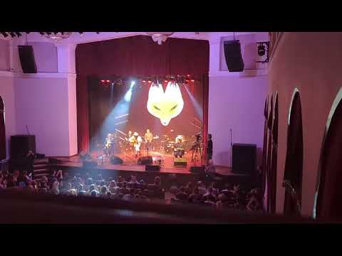Видео: ДАЙТЕ ТАНК (!) — Акустический концерт в Коломне 06.09.25 | Полная запись концерта (+ таймкоды)