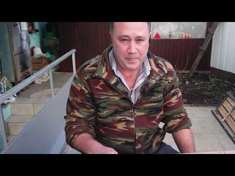 Видео: ✔️Daiwa Silver Creek 2020 И как работает наша почта!!