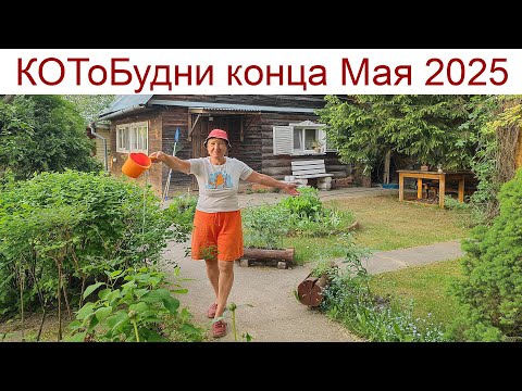 Видео: КОТоБудни конца мая или Приключения Красной Шапочки в маленькой деревне на краю леса