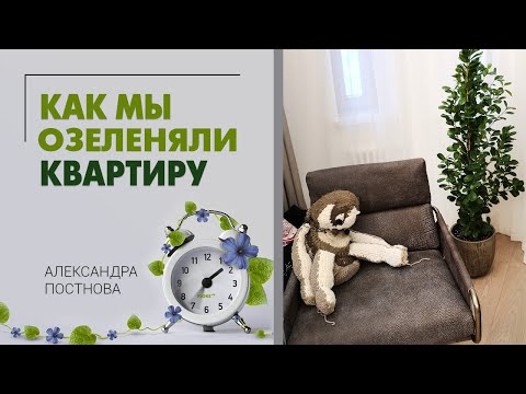 Видео: Озеленение квартиры - что остается за кадром. От начала до результата проходит всего 10 дней.