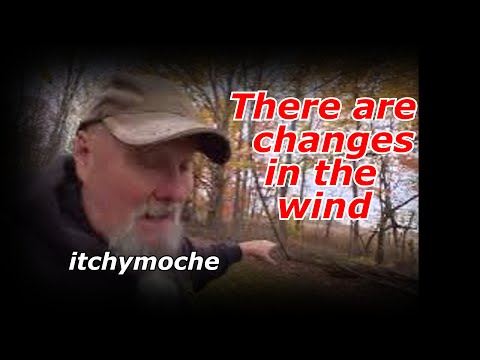 Видео: Изменился ли ветер?