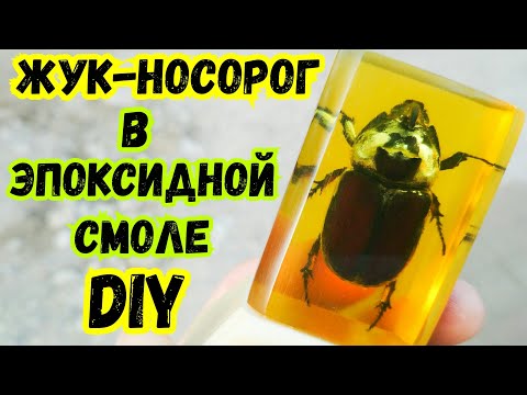 Видео: Жук - Носорог в Эпоксидной Смоле ● Настольный Сувенир DIY ● Насекомые в смоле