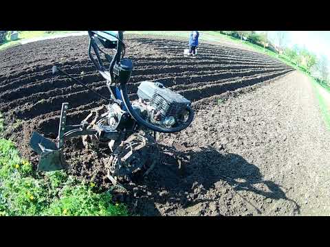 Видео: Мотоблок ДТЗ 513 БН. Садимо картоплю мотоблоком. Нарізаємо рядки під картоплю легким мотоблоком.