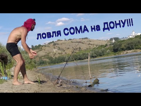 Видео: Ловля сома на червя с берега, рыбалка на сома 2020 на Дону, ловля сома на закидушку!