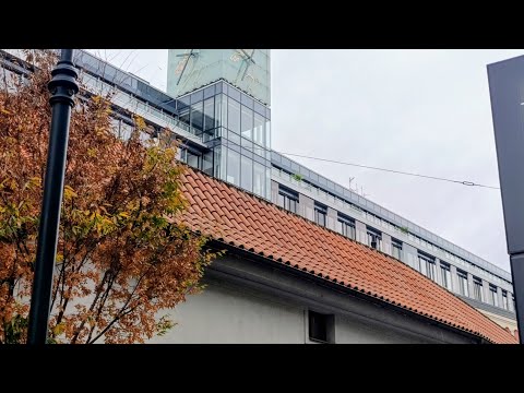 Видео: 1 446. Паладіум