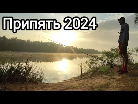 Видео: Рыбалка на Припяти 2024 | Сом Ликует #припять #рыбалка #fishing