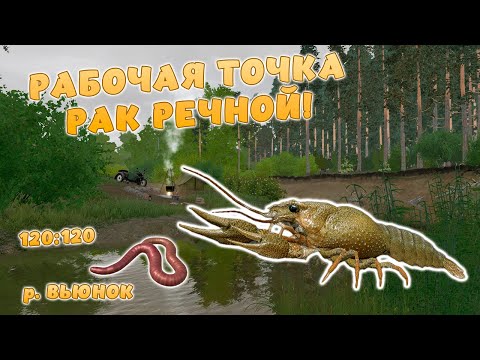 Видео: Русская рыбалка 4 - РАБОЧАЯ ТОЧКА! РАК РЕЧНОЙ! ГДЕ ПОЙМАТЬ? р. Вьюнок