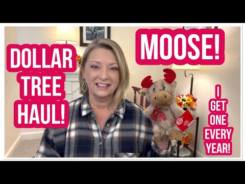 Видео: ДОСТАВКА DOLLAR TREE | Лось! | ФАНТАСТИЧЕСКИЕ НОВЫЕ НАХОДКИ | ЛЮБЛЮ DT😁 #доставка #dollartree #do...