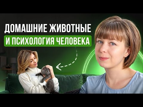 Видео: Домашние животные и психология. Кошки или собаки? Проекция в психологии.