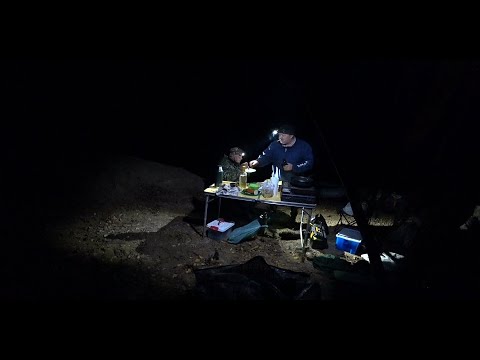 Видео: И СНОВА ВОЮТ ВОЛКИ!! ВЕЧЕРНИЙ ВЫХОД НАЛИМА \ ДОНКА КОРМИЛИЦА \ В ПАЛАТКЕ КАК ДОМА, ИГРАЕМ В КАРТЫ №2