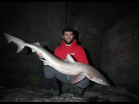 Видео: Береговая рыбалка на Топе и Булл Хасса в Западном Уэльсе