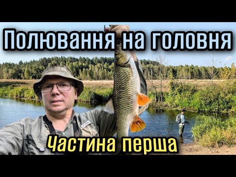 Видео: Полювання на головня.Мала річка Частина перша