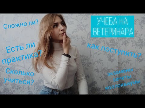 Видео: Учеба на ветеринара/ОТВЕТЫ НА ВОПРОСЫ