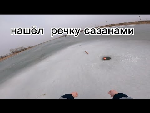 Видео: Случайно нашли лед и давай ловить рыбу на хапугу. #рыбалка #낚시 #fishing #carpfishing #обзор