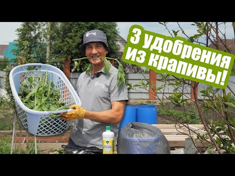 Видео: Приготовьте НАСТОЙ ИЗ КРАПИВЫ для ваших растений! 3 простых рецепта зеленого удобрения