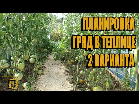 Видео: ПЛАНИРОВКА ГРЯД В ТЕПЛИЦЕ. СОВМЕСТНЫЙ ПРОЕКТ С КАНАЛОМ РОМАНА БУРОВА. САД (ОГОРОД) И ТЕПЛИЦА