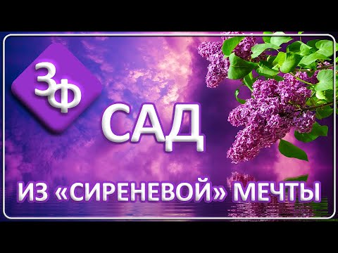 Видео: 093 Сад из Сиреневой Мечты | Истории Наших Зрителей