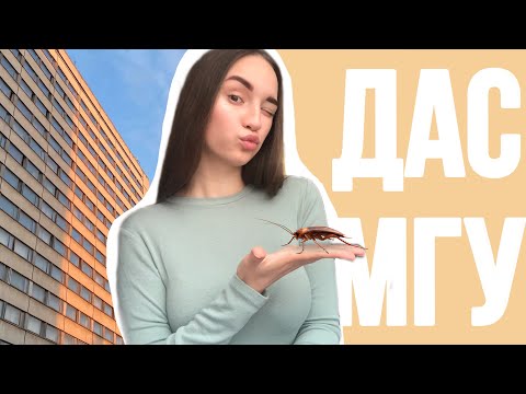 Видео: КАК ЖИВУТ СТУДЕНТЫ МГУ?| ДАС МГУ|ОБЩАГА