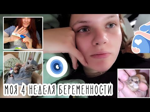 Видео: Дневник беременности🤰|Моя 4 неделя, ранние признаки беременности| Рассказала мужу главную новость🥰