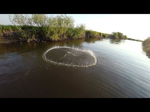 Видео: Приехали на маленькую речку, покидать накрывушку.