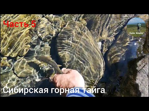 Видео: Примитивная снасть. Рыбалка на Хариуса. На притоке в верховьях реки Абакан. Одиночный поход. Тайга