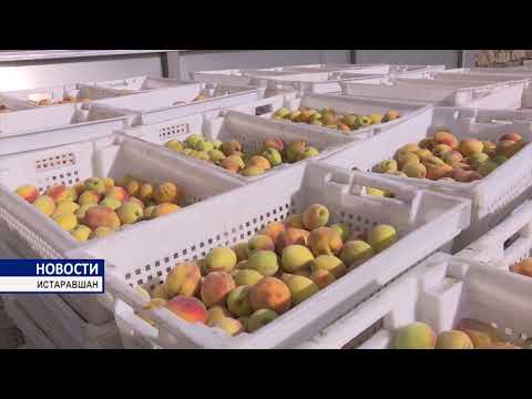 Видео: ЗАО "Оби Зулол"