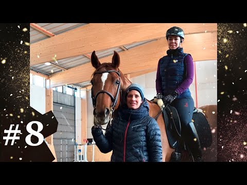 Видео: Шок!!! От тренировок в Финляндии!!! И грамотно составленный рацион спортивной лошади.