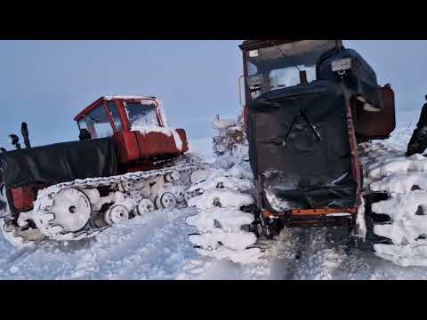 Видео: Трактор Дт-75 на севере  НАО.Сезон 2024